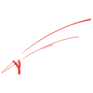 Moonshot