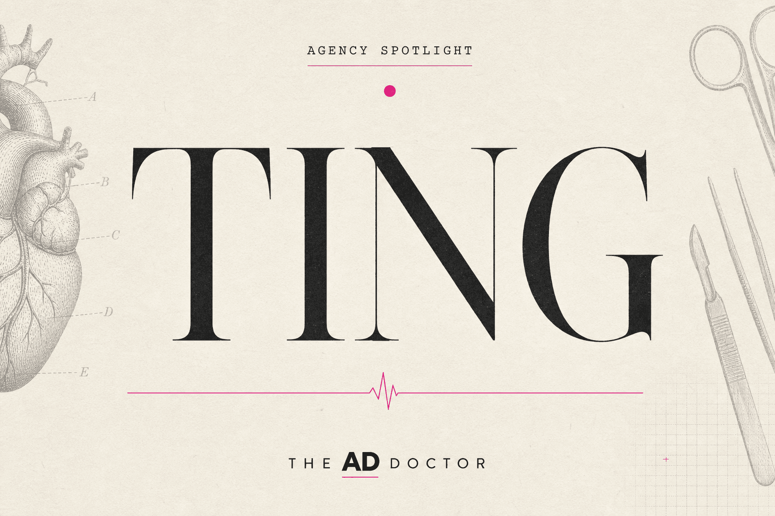 TING: Full-Service Digital Marketing, Creative & Advertising Agency